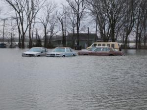 <img300*0:stuff/z/183174/City%2520Underwater/JC%27s%20Camera%20016.jpg>