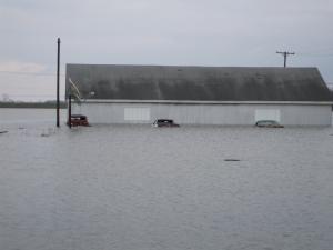 <img300*0:stuff/z/183174/City%2520Underwater/JC%27s%20Camera%20020.jpg>
