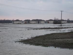 <img300*0:stuff/z/183174/City%2520Underwater/JC%27s%20Camera%20034.jpg>