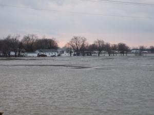 <img300*0:stuff/z/183174/City%2520Underwater/JC%27s%20Camera%20035.jpg>
