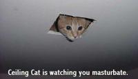 <img200*0:stuff/z/183233/Inquistor_ball/ceiling.jpg>