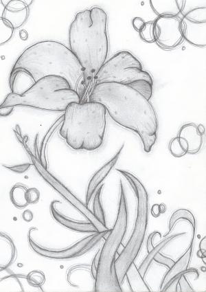 <img300*0:stuff/z/183697/Mah%2520Art/i1249961231_2.jpg>