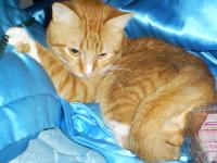 <img200*0:stuff/z/183738/Ellens%2520Photography/i1187560054_10.jpg>
