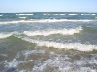 <img200*0:stuff/z/183738/Ellens%2520Photography/i1187560054_11.jpg>