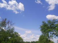 <img200*0:stuff/z/183738/Ellens%2520Photography/i1187560054_14.jpg>