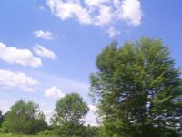 <img200*0:stuff/z/183738/Ellens%2520Photography/i1187560054_18.jpg>