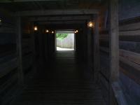 <img200*0:stuff/z/183738/Ellens%2520Photography/i1187560054_19.jpg>