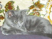 <img200*0:stuff/z/183738/Ellens%2520Photography/i1187560054_21.jpg>