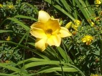 <img200*0:stuff/z/183738/Ellens%2520Photography/i1187560054_22.jpg>