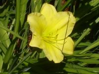 <img200*0:stuff/z/183738/Ellens%2520Photography/i1187560054_24.jpg>
