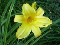 <img200*0:stuff/z/183738/Ellens%2520Photography/i1187560054_26.jpg>