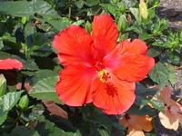 <img200*0:stuff/z/183738/Ellens%2520Photography/i1187560054_6.jpg>