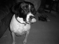 <img200*0:stuff/z/183738/Ellens%2520Photography/i1187560054_7.jpg>