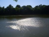 <img200*0:stuff/z/183738/Ellens%2520Photography/i1187560054_9.jpg>