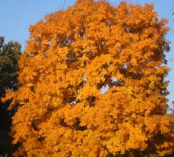 <img250*0:stuff/z/184022/ImagesThatAreRad/i1187677283_1.jpg>