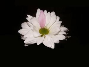 <img300*0:http://elftown.heddate.com/stuff/z/184022/images%2520that%2520are%2520rad/i1214591406_1.jpg>