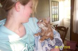 <img250*0:stuff/z/184443/M6%253a34%2520Buttercup/i1243948221_5.jpg>