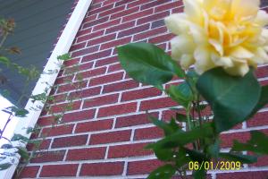 <img300*0:stuff/z/184443/M6%253a34%2520Scenery/i1243949548_12.jpg>