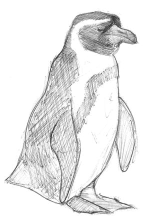 <img300*0:stuff/z/184808/Valenque/pinguin.jpg>