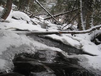 <img0*250:stuff/z/184856/Michigan%2520photography/i1200179566_1.jpg>