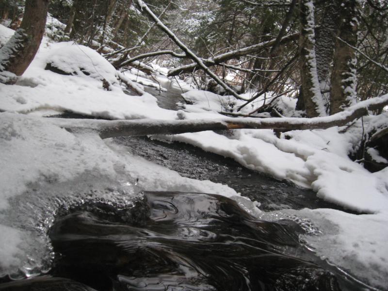 <img0*600:stuff/z/184856/Michigan%2520photography/i1200179566_1.jpg>