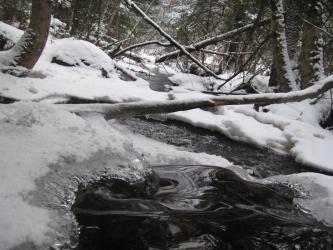 <img0*250:stuff/z/184856/Michigan%2520photography/i1200179566_2.jpg>