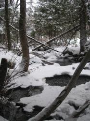 <img0*250:stuff/z/184856/Michigan%2520photography/i1200179566_3.jpg>