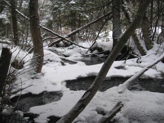 <img0*250:stuff/z/184856/Michigan%2520photography/i1200179566_5.jpg>