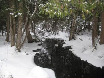 <img0*250:stuff/z/184856/Michigan%2520photography/i1200179566_7.jpg>