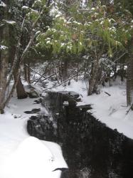 <img0*250:stuff/z/184856/Michigan%2520photography/i1200179566_8.jpg>