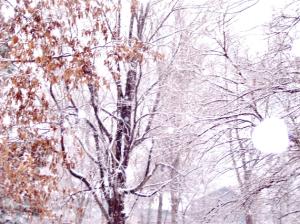 <img300*0:stuff/z/184957/Kryssy%2527s%2520Photos/i1201797390_1.jpg>