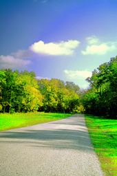<img:stuff/z/185526/Different%2520shades%2520of%2520Fall/i1238966468_4.jpg>