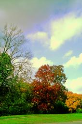 <img:stuff/z/185526/Different%2520shades%2520of%2520Fall/i1238966468_6.jpg>