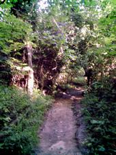<img:stuff/z/185526/Joys%2520of%2520Summer/i1238967104_5.jpg>