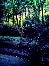 <img:stuff/z/185526/Joys%2520of%2520Summer/i1238967104_6.jpg>