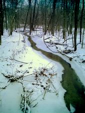 <img:stuff/z/185526/Silence%2520of%2520Snow/i1238966712_3.jpg>