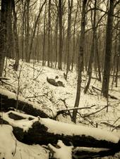 <img:stuff/z/185526/Silence%2520of%2520Snow/i1238966712_4.jpg>