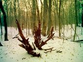 <img:stuff/z/185526/Silence%2520of%2520Snow/i1238966712_6.jpg>