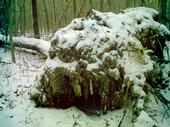 <img:stuff/z/185526/Silence%2520of%2520Snow/i1238966712_8.jpg>