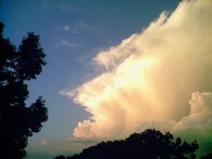 <img300*0:stuff/z/185526/Storm%2520Clouds/i1246052295_12.jpg>