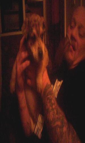 <img300*500:stuff/z/186049/My%25202%2520PiTbUlL%2524/i1269483764_8.jpg>