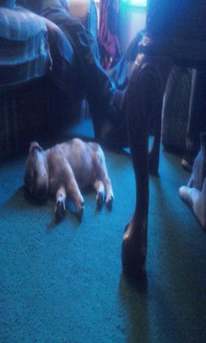 <img300*500:stuff/z/186049/My%25202%2520PiTbUlL%2524/i1269483764_9.jpg>
