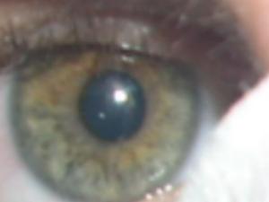 <img300*0:stuff/z/186078/my%2520pics%2520nucka/i1220206537_3.jpg>