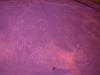 <img100*0:stuff/z/186536/Cloth%2520Reference-RavenLynnBrown/i1237917908_3.jpg>