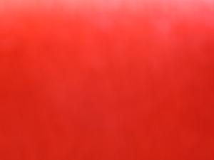 <img300*0:stuff/z/186536/Cloth%2520Reference-RavenLynnBrown/i1237920852_5.jpg>