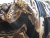 <img100*0:stuff/z/186536/Cloth%2520Reference-RavenLynnBrown/i1237921955_5.jpg>