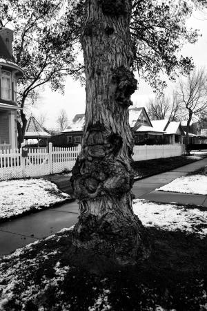 <img300*0:http://elftown.heddate.com/stuff/z/186621/%2522The%2520Boy%2520In%2520The%2520Tree%2522/i1228421049_2.jpg>