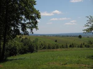 <img300*0:stuff/z/186646/CS%2527%2520Landmarks/DSC00823.JPG>