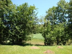 <img300*0:stuff/z/186646/CS%2527%2520Landmarks/DSC00824.JPG>