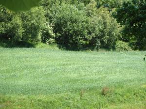 <img300*0:stuff/z/186646/CS%2527%2520Landmarks/DSC00825.JPG>